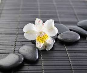 Set of spa stones with orchid on bamboo mat