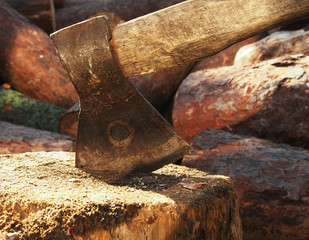 Axe In The Log