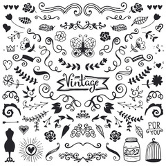 Hand drawn vector alphabet.