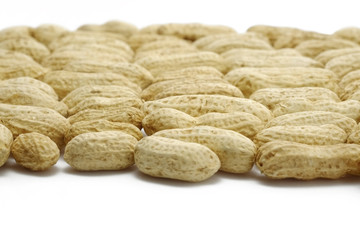 Peanuts/Peanuts isolated on white background.