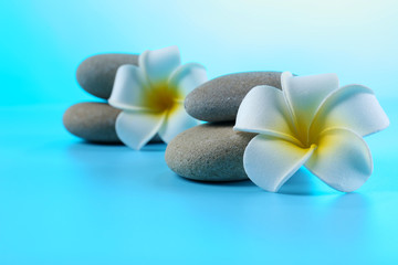 Fototapeta na wymiar Spa stones and flowers on blue background