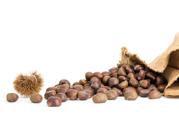 Sacco di iuta grezzo con castagne mature e riccio  su sfondo bianco