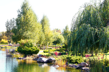 Lake in Summer park