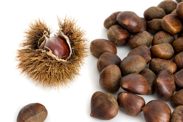 Castagne mature con riccio isolate su sfondo bianco