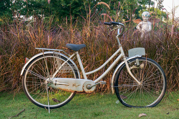 Fototapeta na wymiar Bicycle/Damaged bicycle parked on lawn with bushes background.