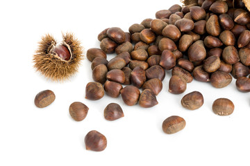 Castagne mature con riccio isolate su sfondo bianco
