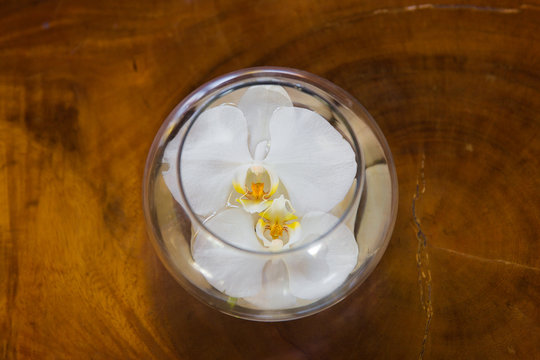 White orchid flower in glass vase with water on wooden backgroun