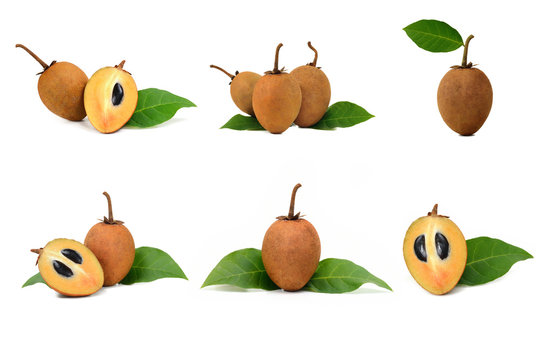 fresh sapodilla with leaves isolated on white background