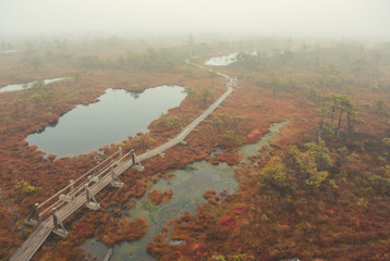 Top view of Kemeri National park in Latvia. 