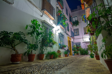 Fototapeta na wymiar typical Andalusian courtyard decorated with flowers in the city of Cordoba Spain