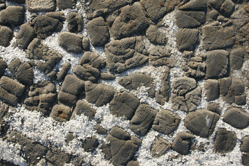 paving and salt 22