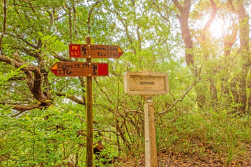 25 Fountains - Signpost showing the way