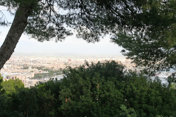 view to the city