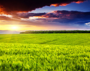 Obraz premium sunset