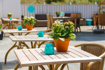 Flowers in pot and candles on the tables of beach cafe. Zandvoor