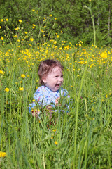Fototapeta premium Happy little cute baby sits among on green grass near forest 