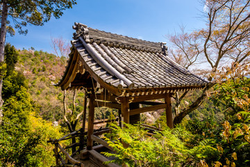 Fototapeta na wymiar Arashiyama forest in Japan