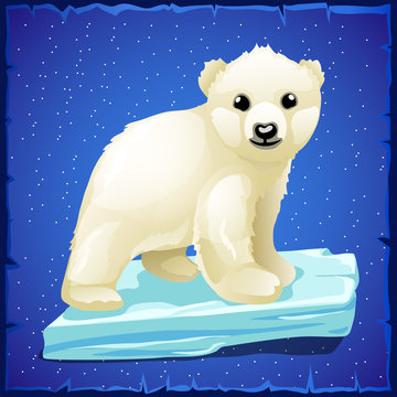 Little polar bear on an ice floe