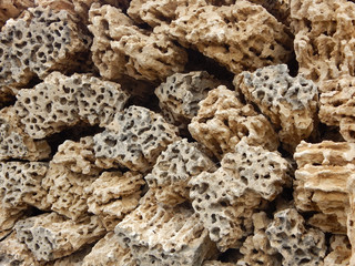 Nature shelly rocks texture background
