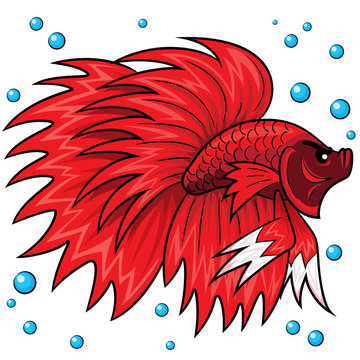 recommend clip art: Betta fish Cartoon
                    Illustration of cute cartoon betta fish.