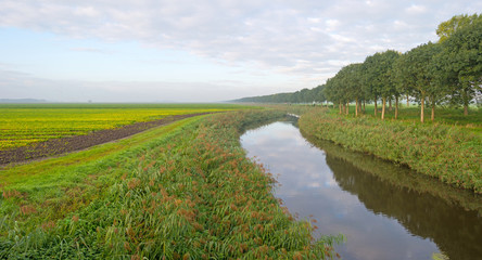 Fototapeta na wymiar Canal through a rural landscape in autumn 