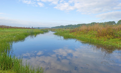Shore of a lake below a blue cloudy sky in autumn