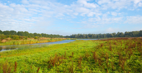 Fototapeta premium Shore of a lake below a blue cloudy sky in autumn
