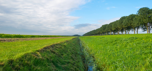 Ditch along a sunny field in autumn