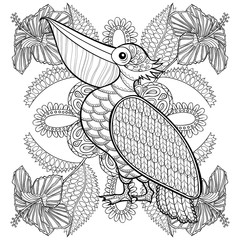 Coloring page with Pelican in hibiskus flowers, zentangle illust © ipanki