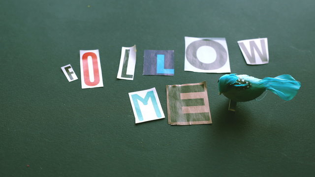 stop motion animation of the folloers and research of following in the internet era