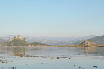 Naklejka premium Landscape with the image of Skadar lake, Montenegro