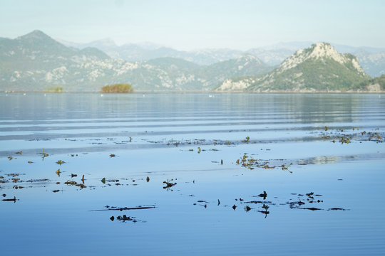 Landscape with the image of Skadar lake, Montenegro