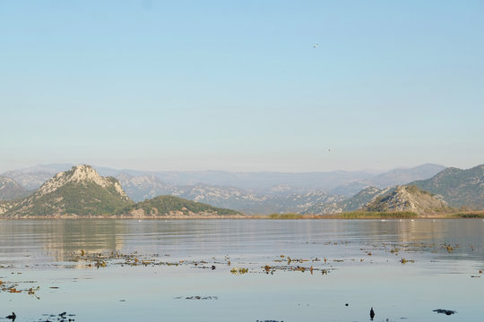Landscape with the image of Skadar lake, Montenegro
