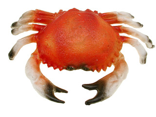 Krabbe (Nachbildung)