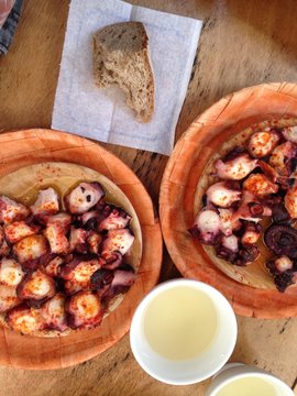 Octopus.