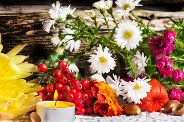 Herbstdekoration mit Astern