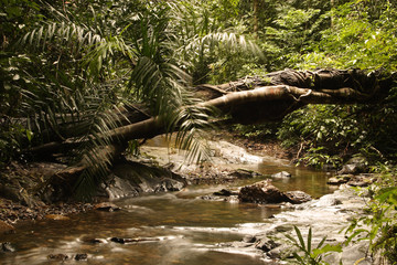 Fototapeta premium Klong Jark waterfall, Island Koh Lanta, Thailand 