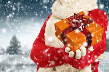 woman in red color and winter day 