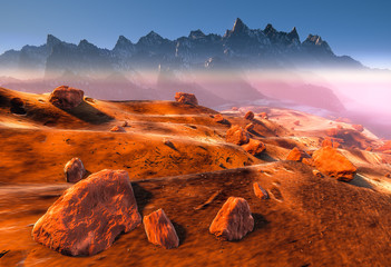 Mars - dry dunes, rocks of the red martian landscape © Artur Furmanek