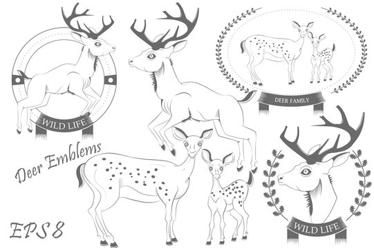 Set of emblems with deer vector illustration
