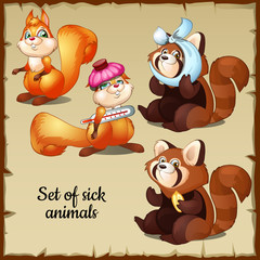 Fototapeta premium Sick and healthy squirrel and raccoon