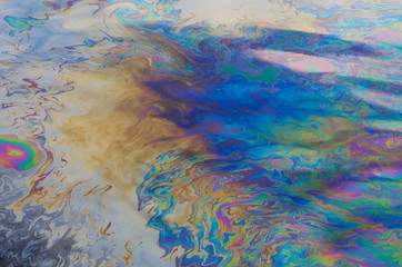 oil slick on the water