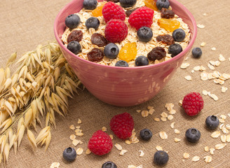 Healthy porridge with fruits on canvas
