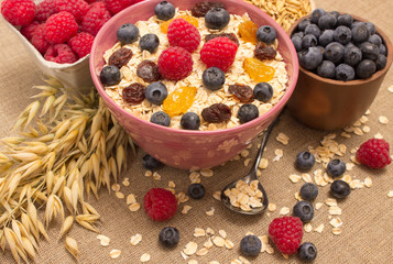 Healthy porridge with fruits on canvas