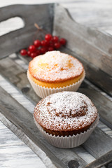 muffins