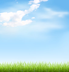 Green grass lawn with clouds on blue sky
