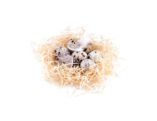 Obraz premium Nest with quail eggs side view. Straw, quail eggs, isolated.
