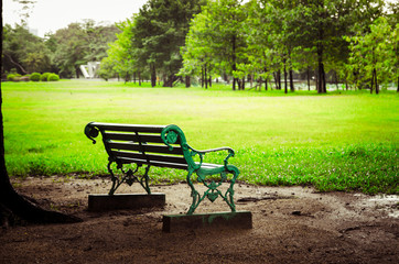 Fototapeta premium park in city landscape