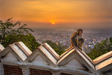 Sunrise above Kathmandu, Nepal, viewed from the Swayambhunath te
