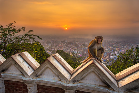 Sunrise above Kathmandu, Nepal, viewed from the Swayambhunath te